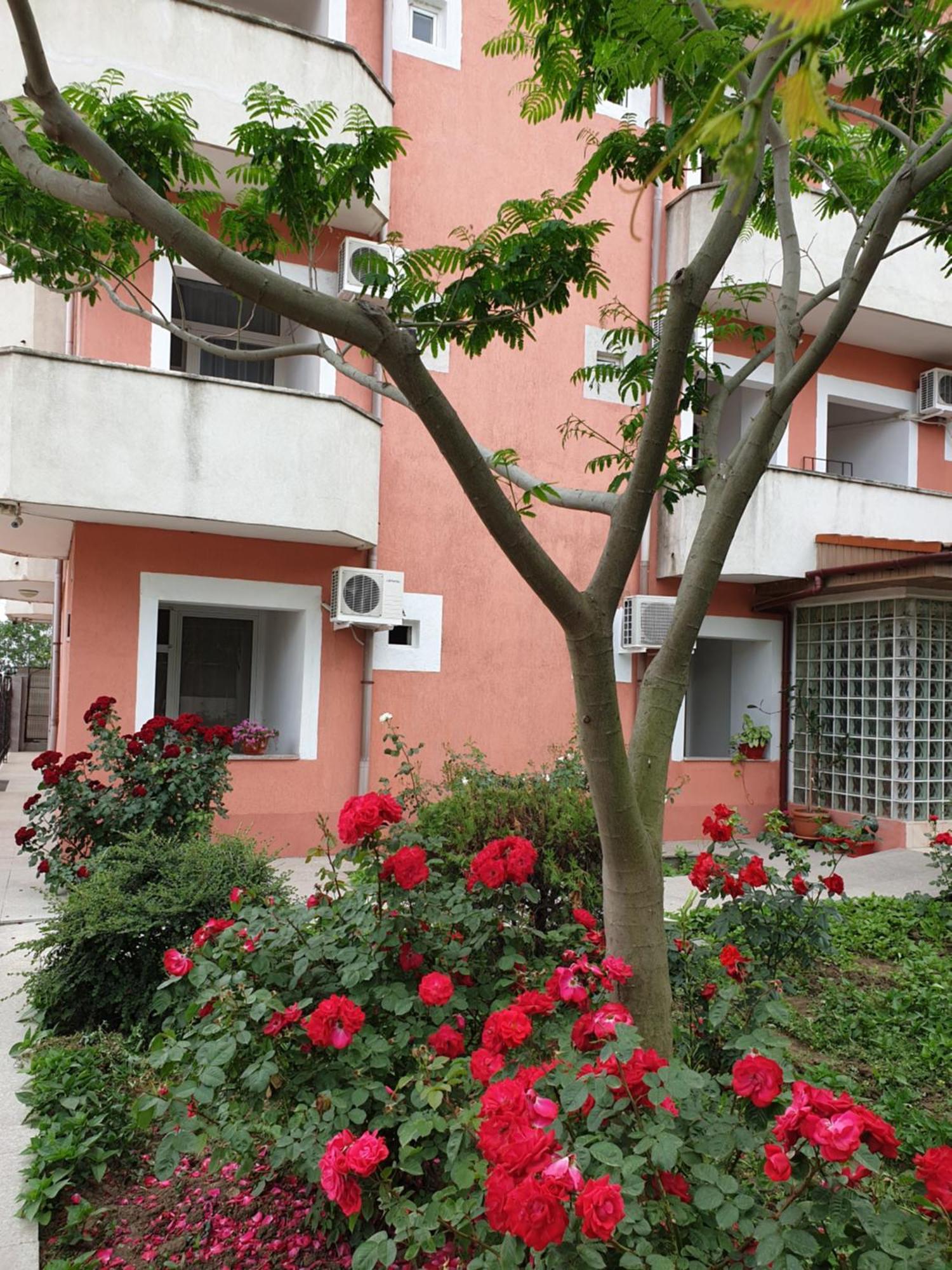 Hotel Laguna Eforie Nord Zewnętrze zdjęcie