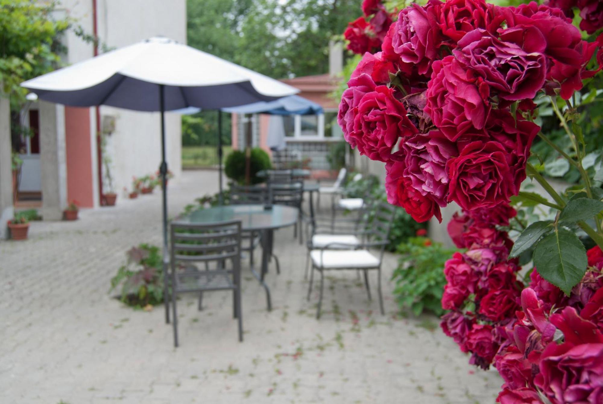 Hotel Laguna Eforie Nord Zewnętrze zdjęcie